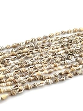 Doğal Deniz Kabuğu Nassa Shell Koyu Kahverengi 6-10 mm 1 Dizi 148 cm
