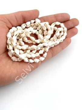 Doğal Deniz Kabuğu Nassa Shell Krem 6-10 mm 1 Dizi 136 cm