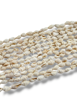 Doğal Deniz Kabuğu Nassa Shell Krem 6-10 mm 1 Dizi 136 cm