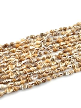 Doğal Deniz Kabuğu Nassa Shell Açık Kahverengi 6-10 mm 1 Dizi 148 cm