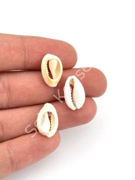 Doğal Deniz Kabuğu Tazı Boncuğu 50 Gr