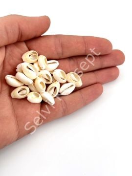 Doğal Deniz Kabuğu Tazı Boncuğu 50 Gr