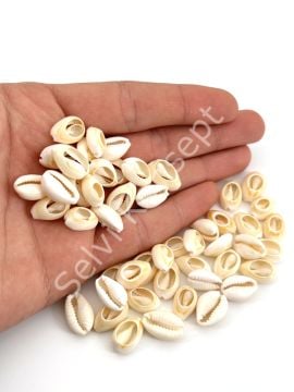 Doğal Deniz Kabuğu Tazı Boncuğu 50 Gr