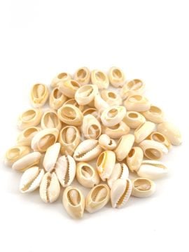 Doğal Deniz Kabuğu Tazı Boncuğu 50 Gr